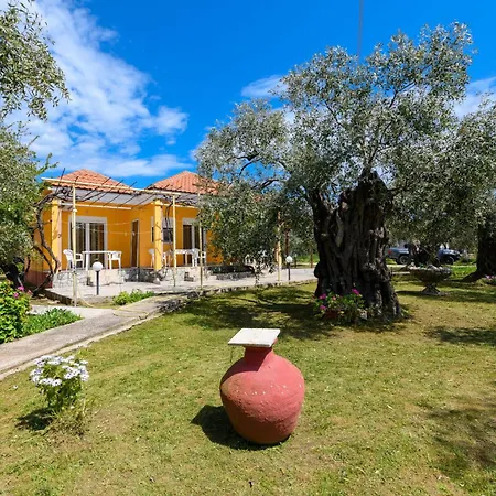 Qyra Skala Rachoni (Thasos)